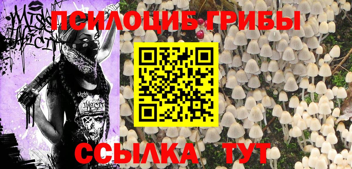 Псилоцибиновые грибы прущие грибы Ахтубинск